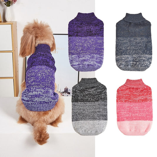 Ozzie - Gradient Turtleneck Pet Knit Sweater