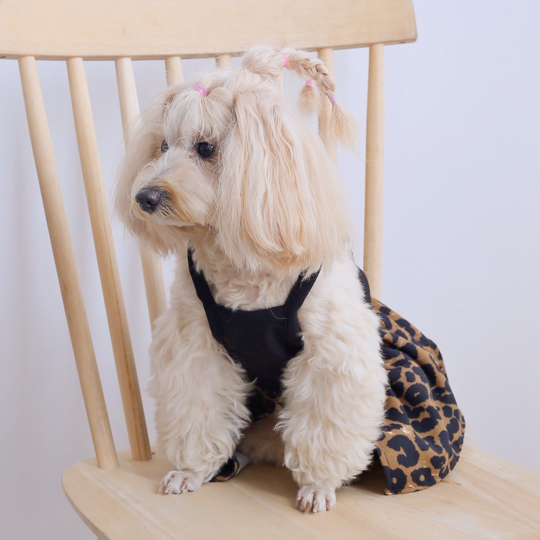 Ozzie - Heart Detail Leopard Print Pet Dress
