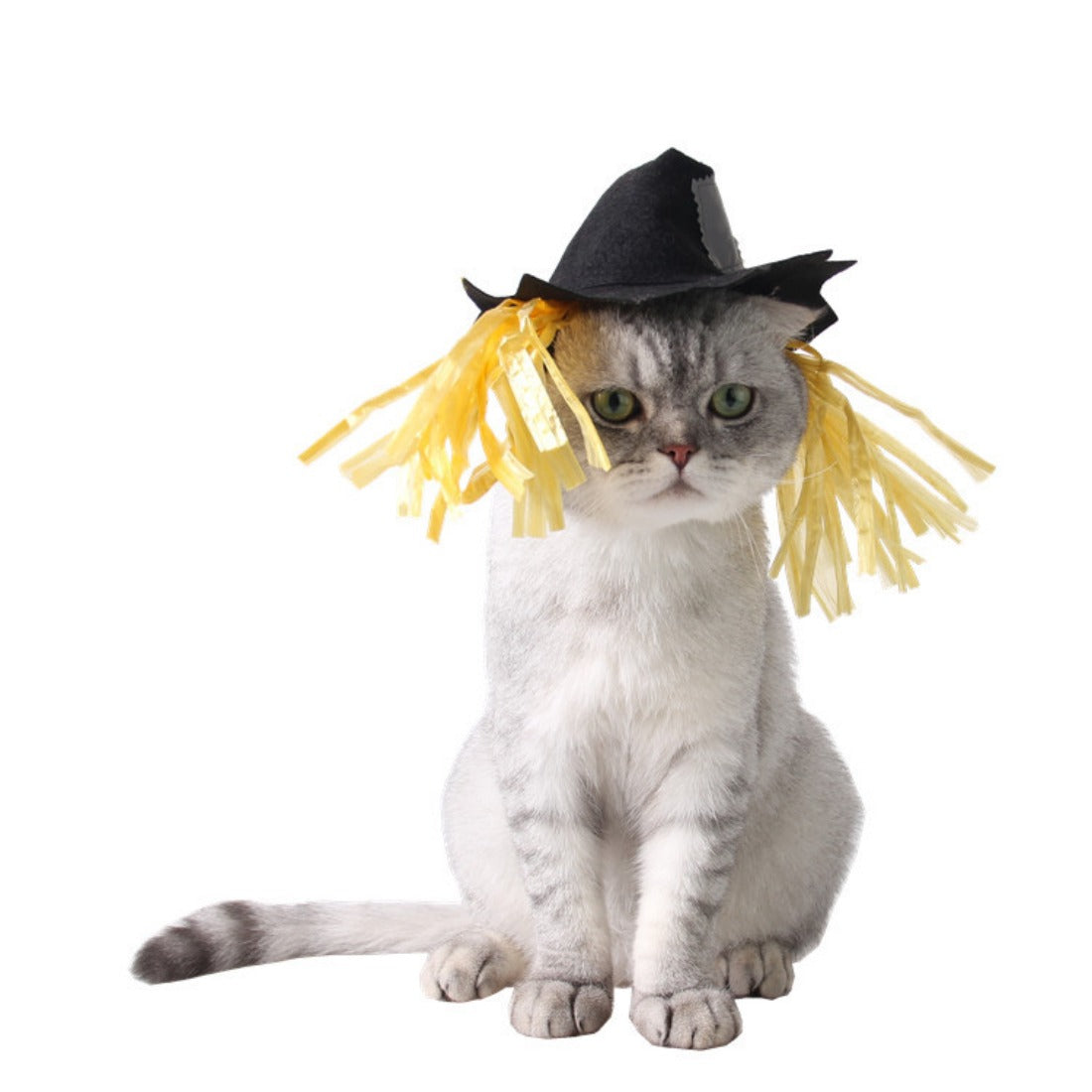 Halloweek - Scarecrow Pet Hat