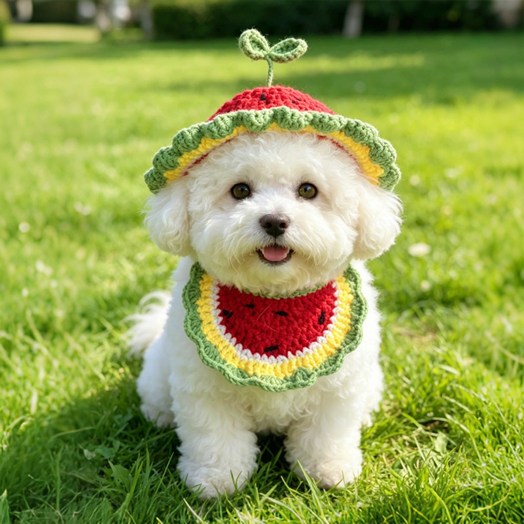 Mokka - Watermelon Style Pet Bib and Hat