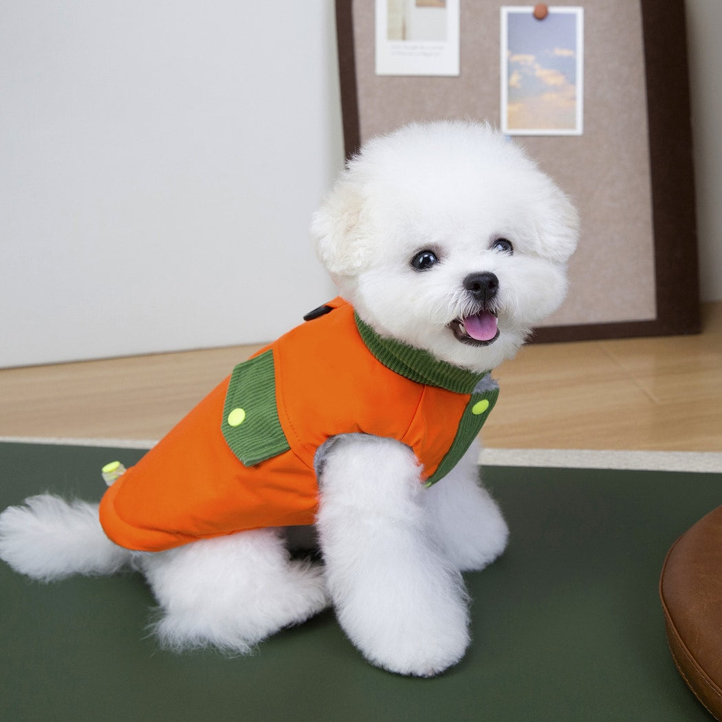 Ozzie - Adventure Letter Print Dog Winter Coat