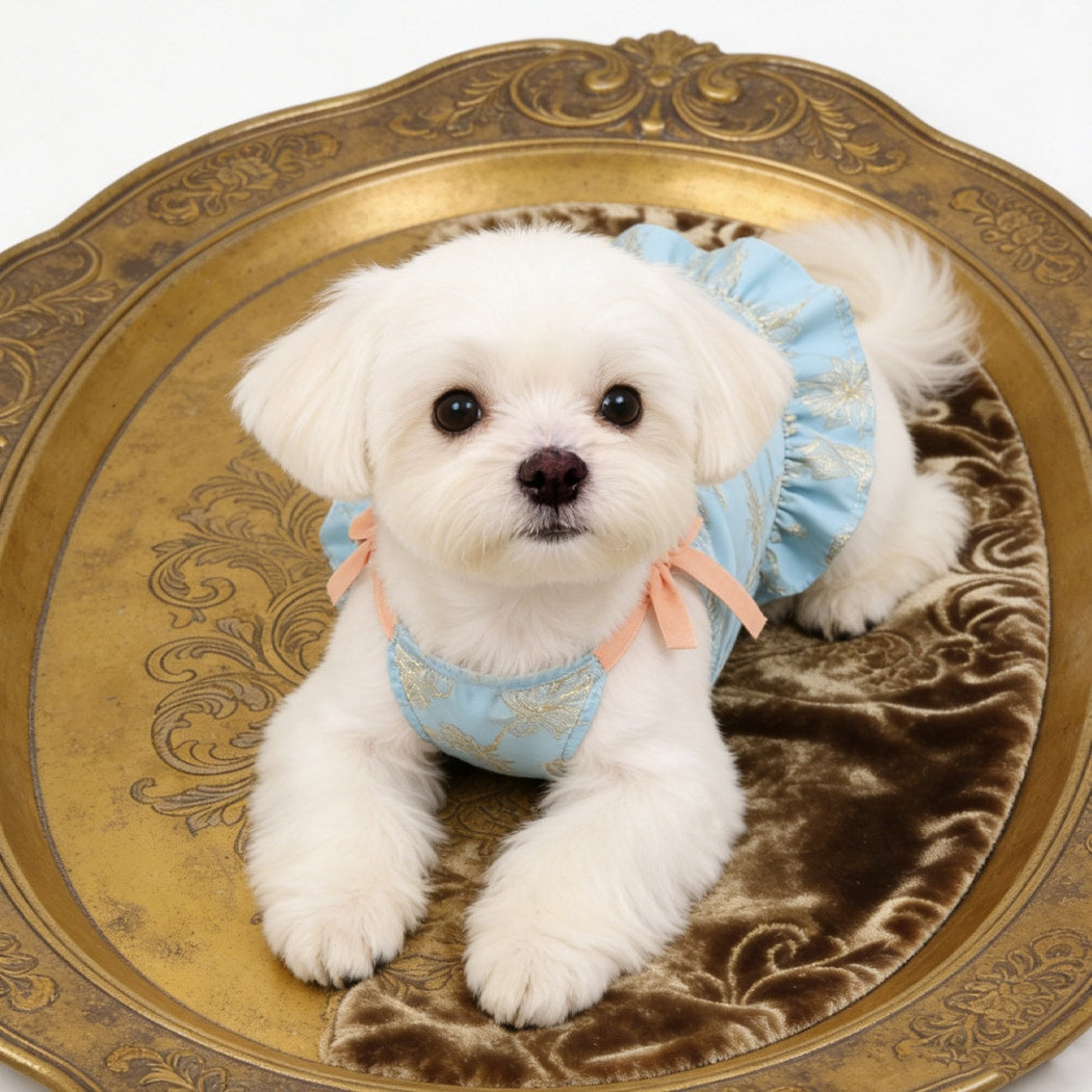 Ozzie - Small Dog Print Spring Summer Dress