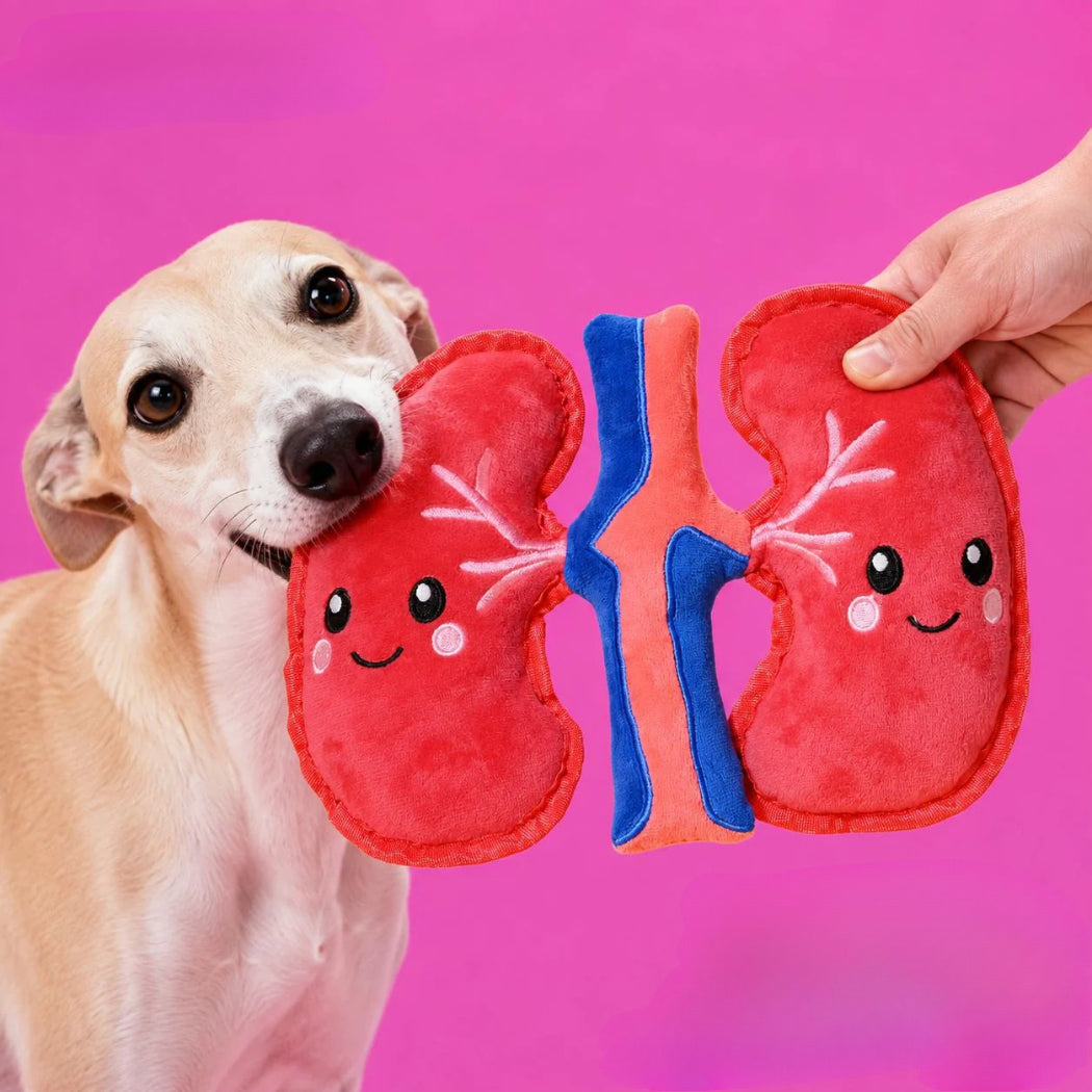 Petkin Red Kidney Plush Dog Toy