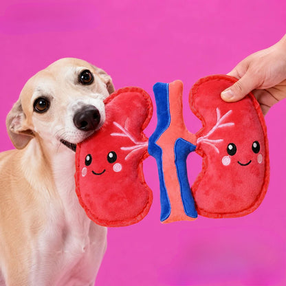 Petkin Red Kidney Plush Dog Toy