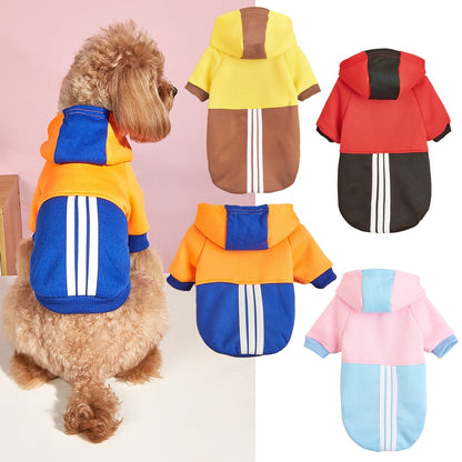 Ozzie - Sports Style Color Block Pet Hoodie