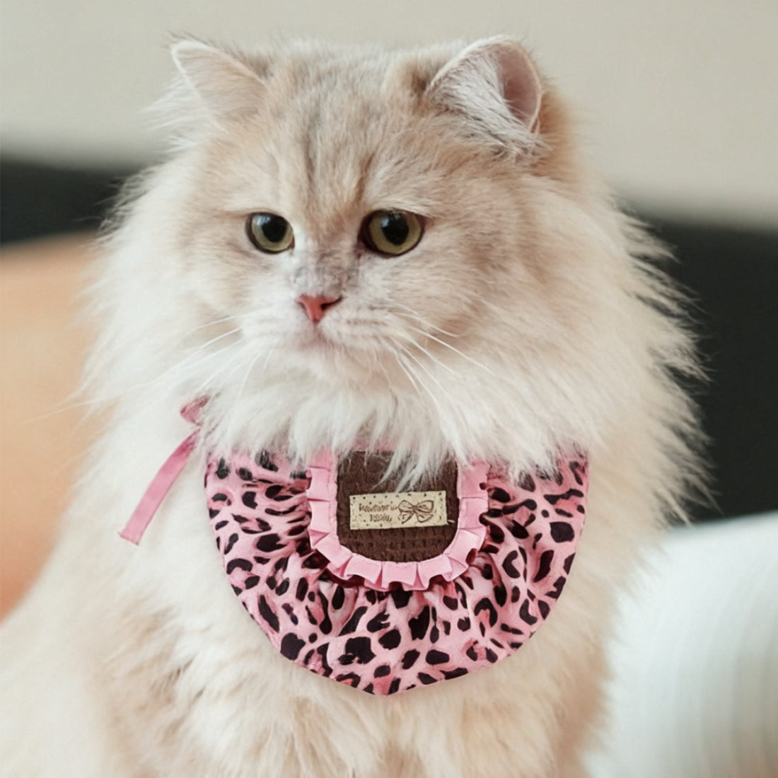 Mokka leopard print cat bib with ruffle detail on a white background