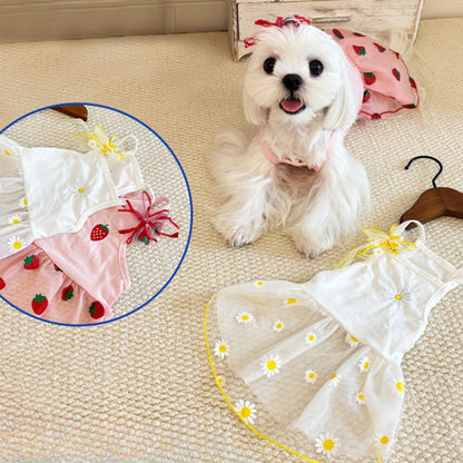 Ozzie - Cute Mesh Pet Dress for Small Dogs