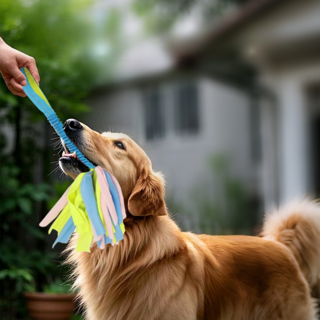 Petkin - Interactive Tug Strip Dog Play Toy for Dogs