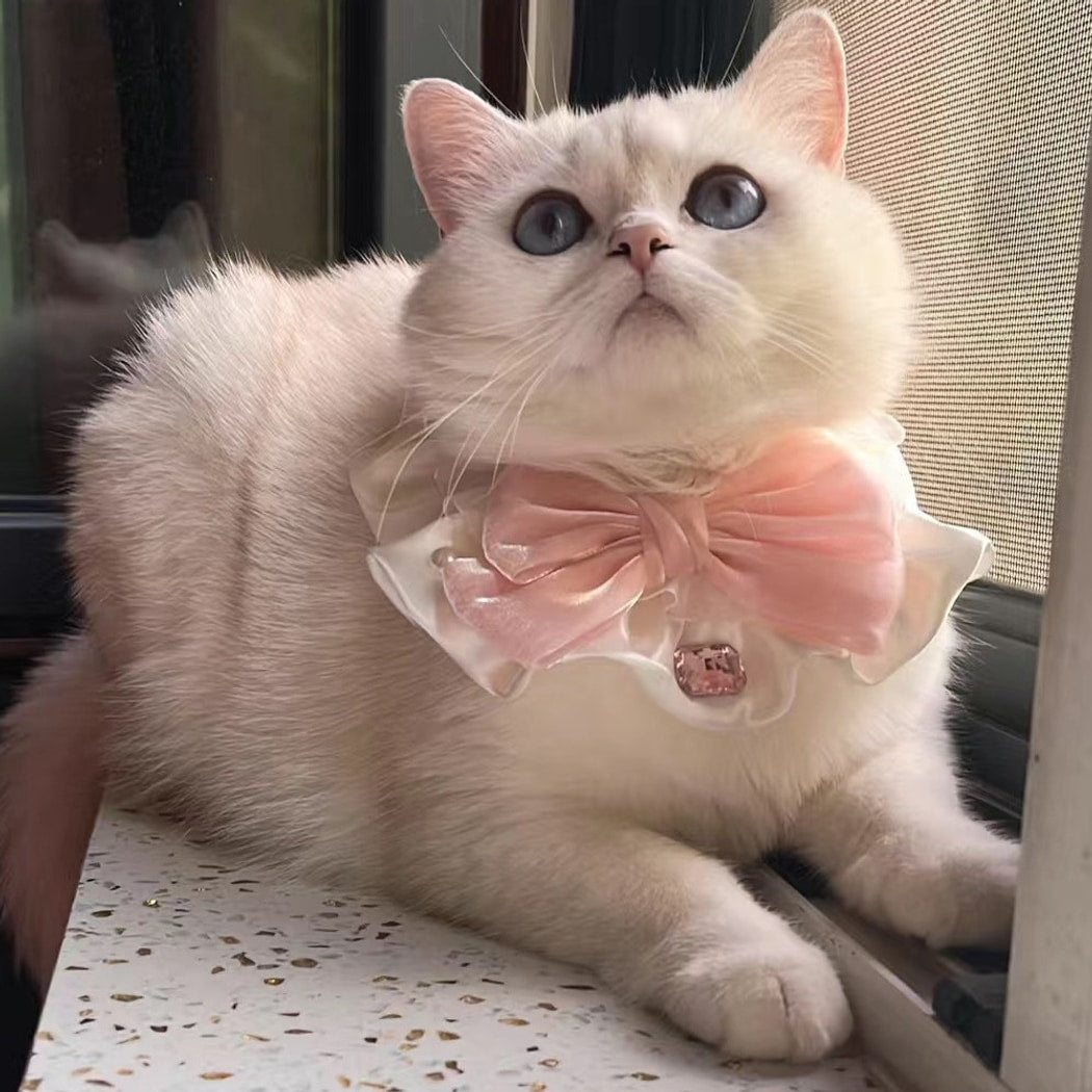 Mokka - Ruffled Shiny Finish Bow Cat Collar