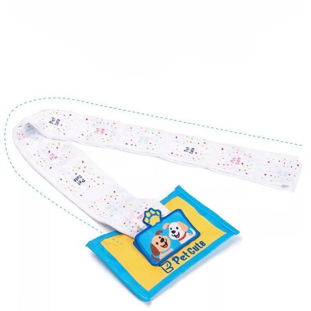 Petkin Treat Pocket Crinkle Dog Toy with visible crinkle material and bright colors