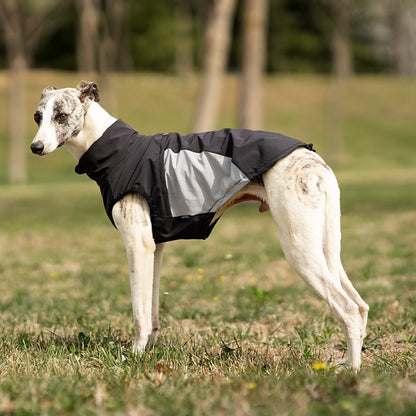 Ozzie - Color Block Everyday Dog Vest