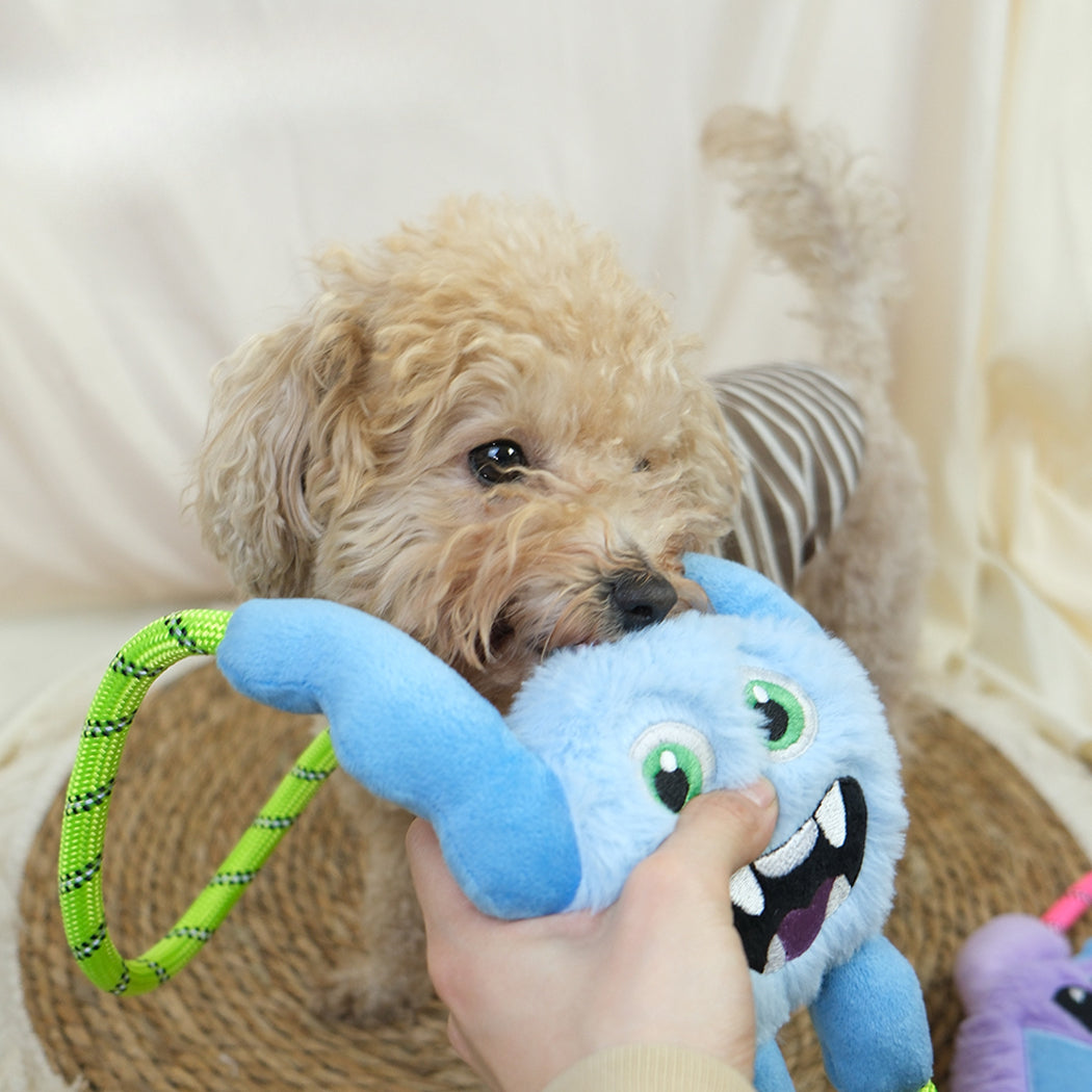 Petkin - Monster Plush Rope Loop Dog Toy