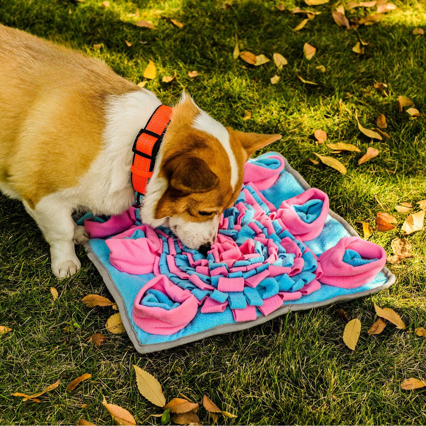 Snuffy - Interactive Snuffle Mat