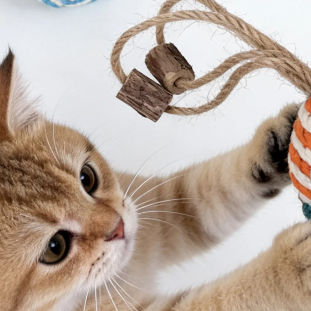 Moo - Smiling Rope-Wrapped Insect-Shaped Cat Toy