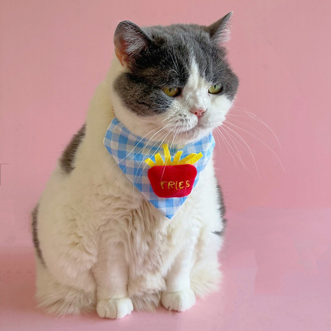 Mokka blue gingham cat bandana folded neatly on wooden surface