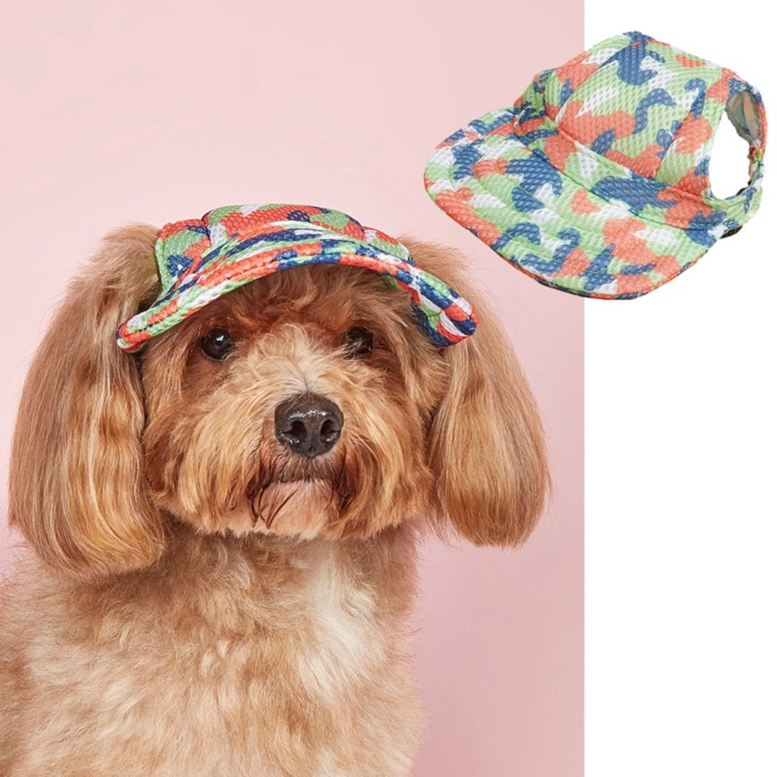 Ozzie Pattern Dog Baseball Cap next to matching dog-themed accessories