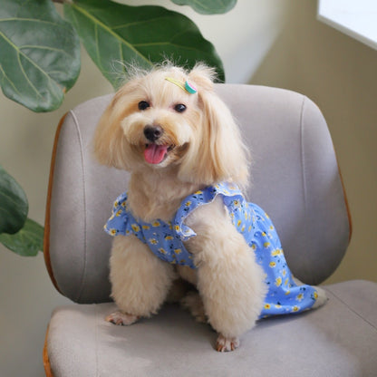 Ozzie - Blue Floral Ruffle Pet Dress