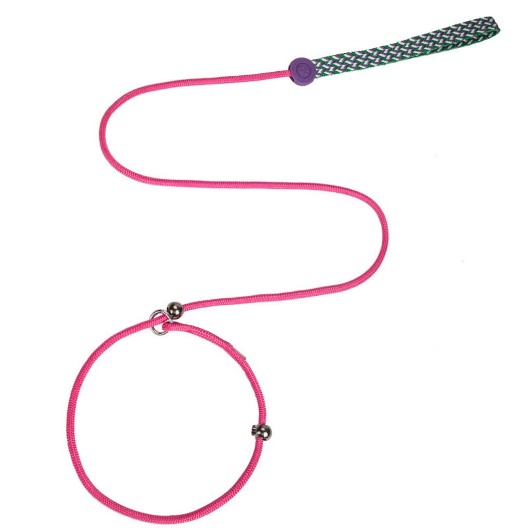 Loofie - P-Leash Training Dog Leash