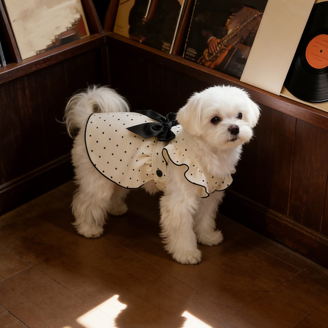 Ozzie - Polka Dot Bow Detail Dog Dress