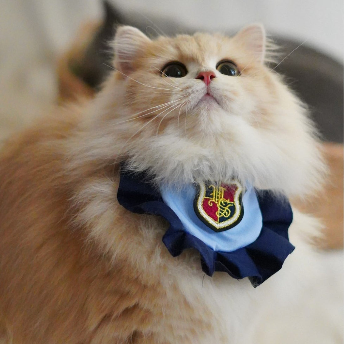 Side view of Mokka Academy Badge Cat Bib highlighting the secure fastener and fabric texture