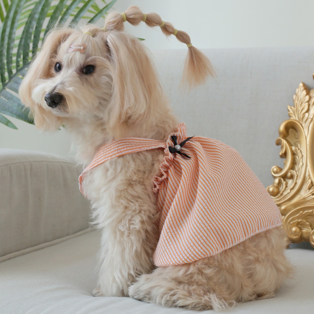 Ozzie - Striped Casual Cat and Dog Pet Dress