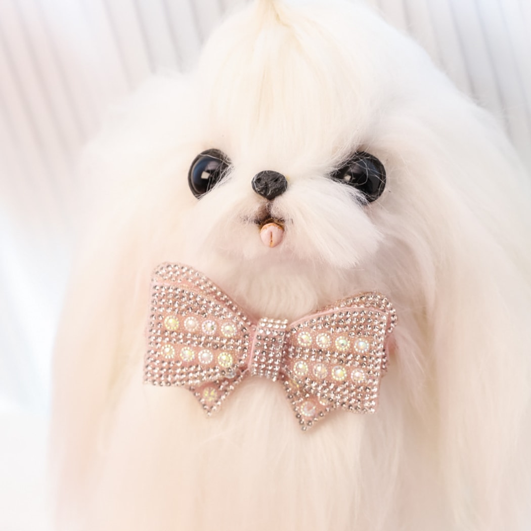 Mokka - Sparkly Bow Accent Pet Collar