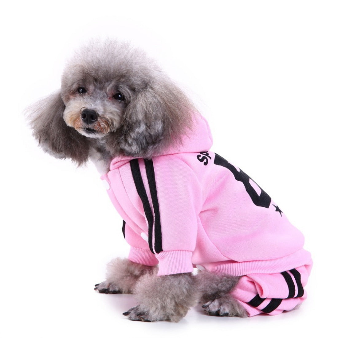 Ozzie - Pet Winter Warm Sportswear