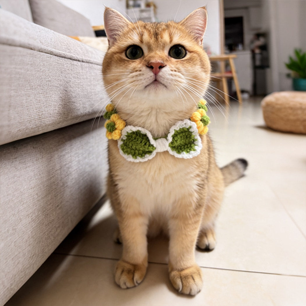 Mokka - Flower Detail Decorative Cat Collar
