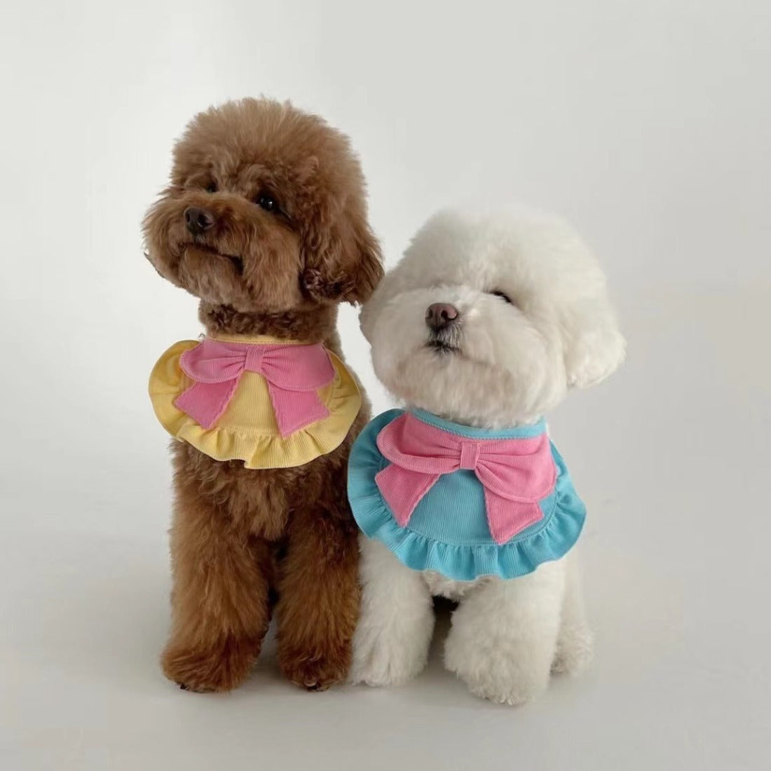 Mokka pet bandana with bow ruffle detail on a small dog