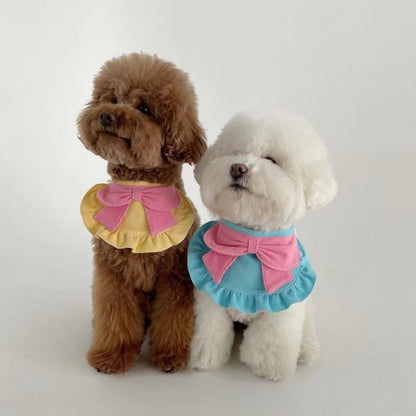 Mokka pet bandana with bow ruffle detail on a small dog