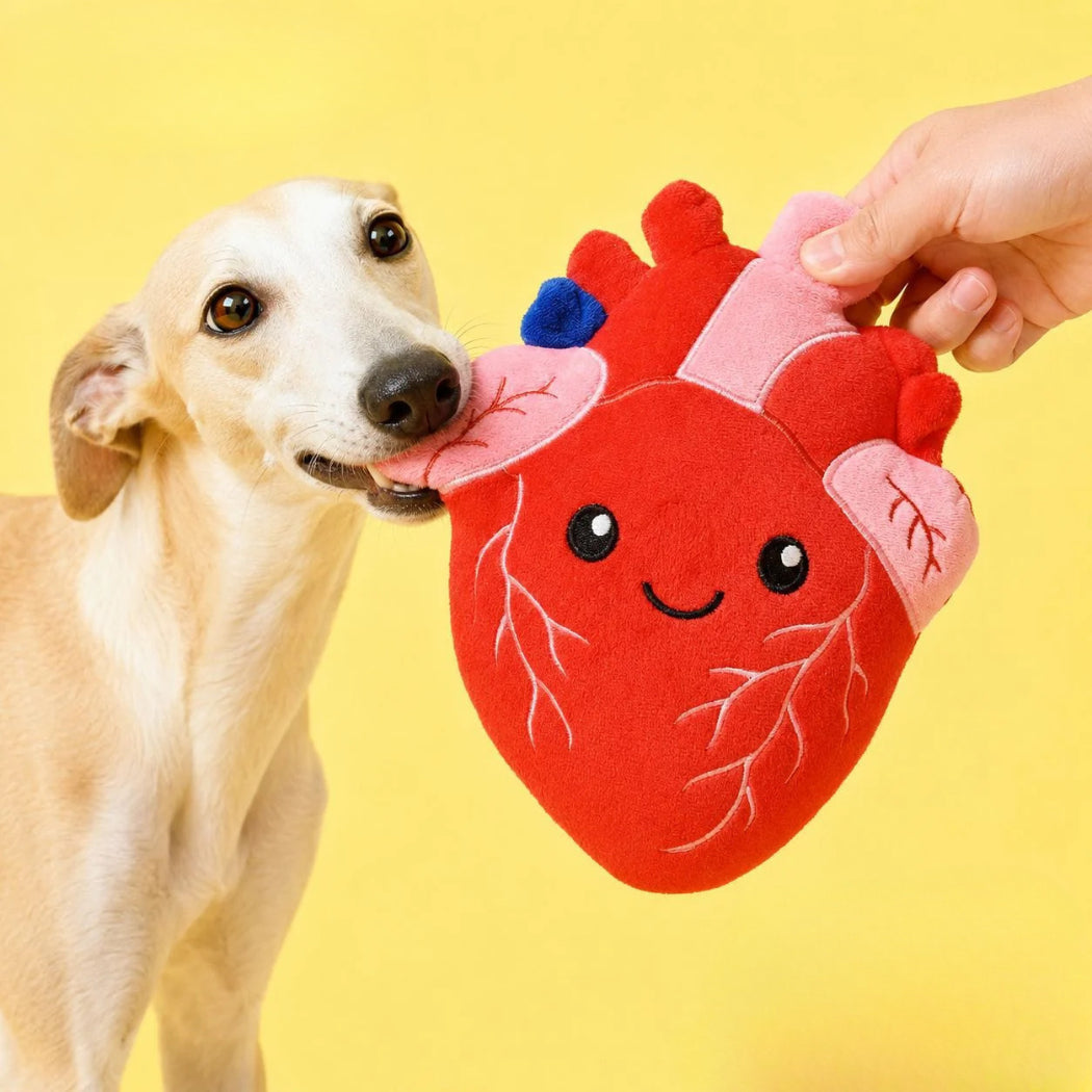 Petkin Red Heart Plush Dog Toy