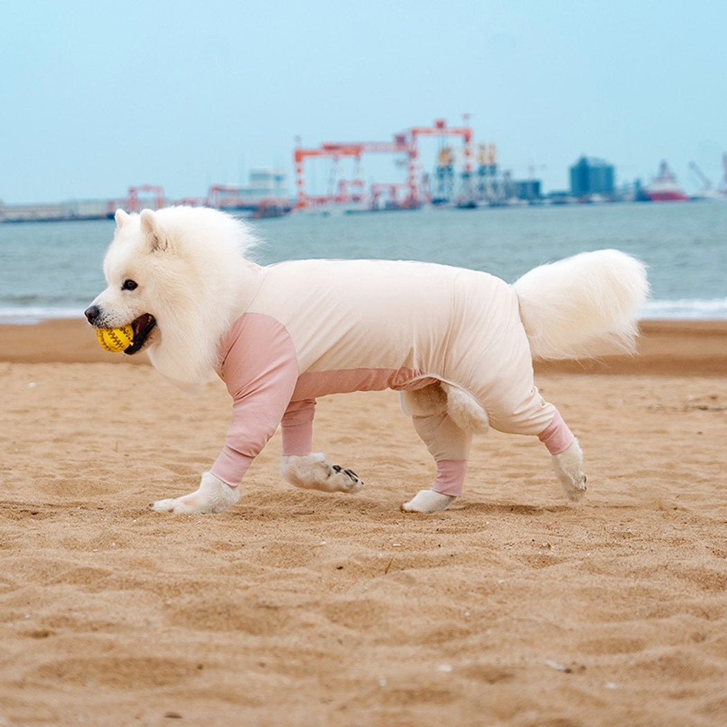 Ozzie - Full Coverage Four-Leg Summer Dog Shirt
