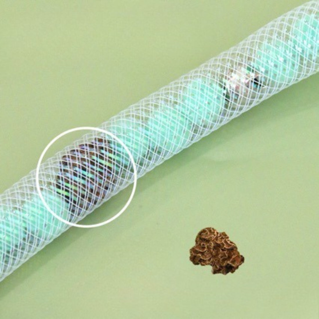 Close-up of the feathered end of the Moo Spring Feather Cat Teaser Wand