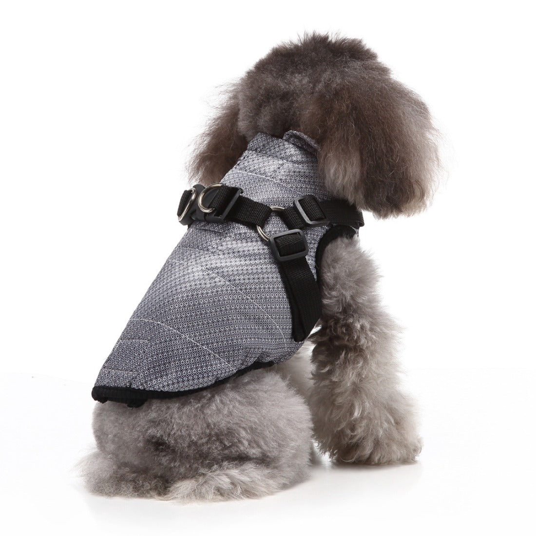 Ozzie - Floral Pattern Small Dog Winter Coat