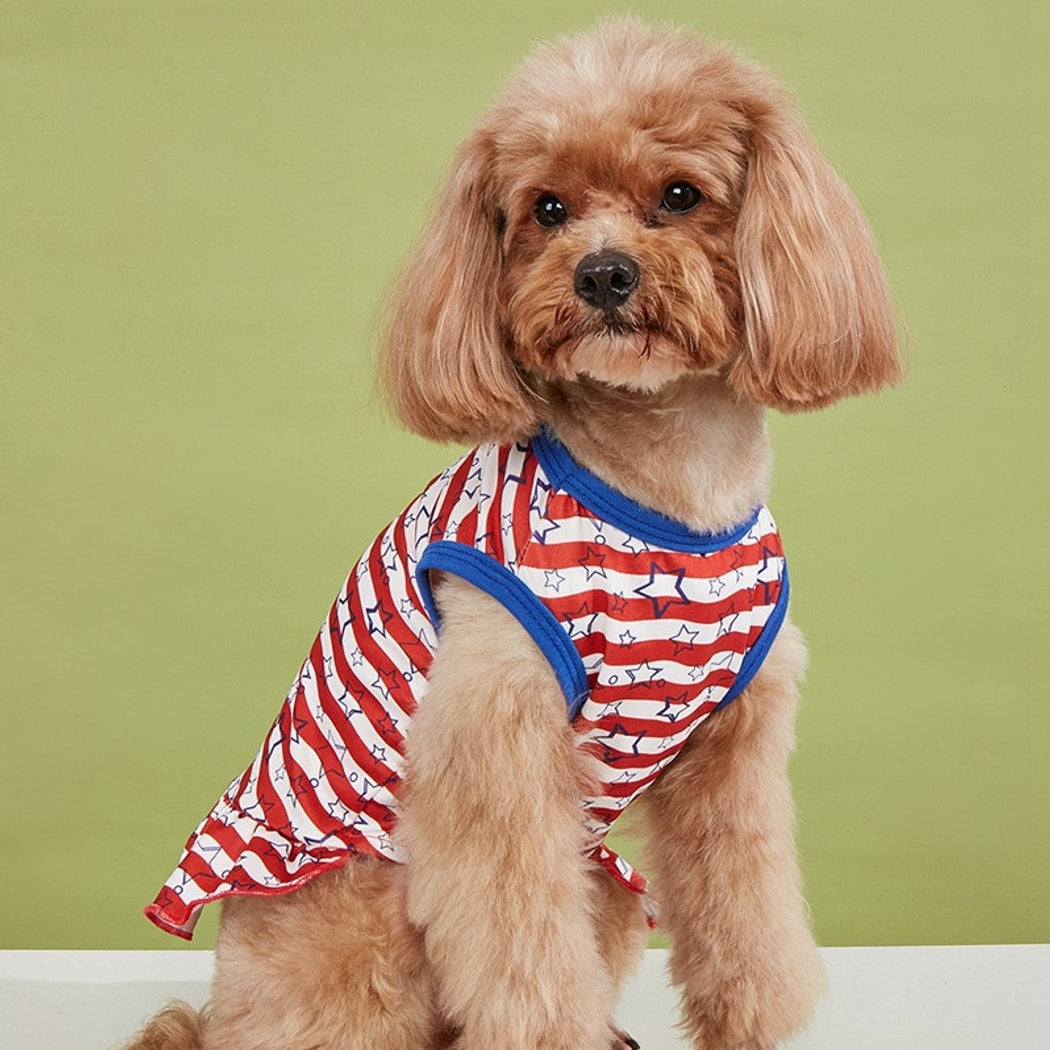 Ozzie - Ruffle Colorful Party Print Pet Dress