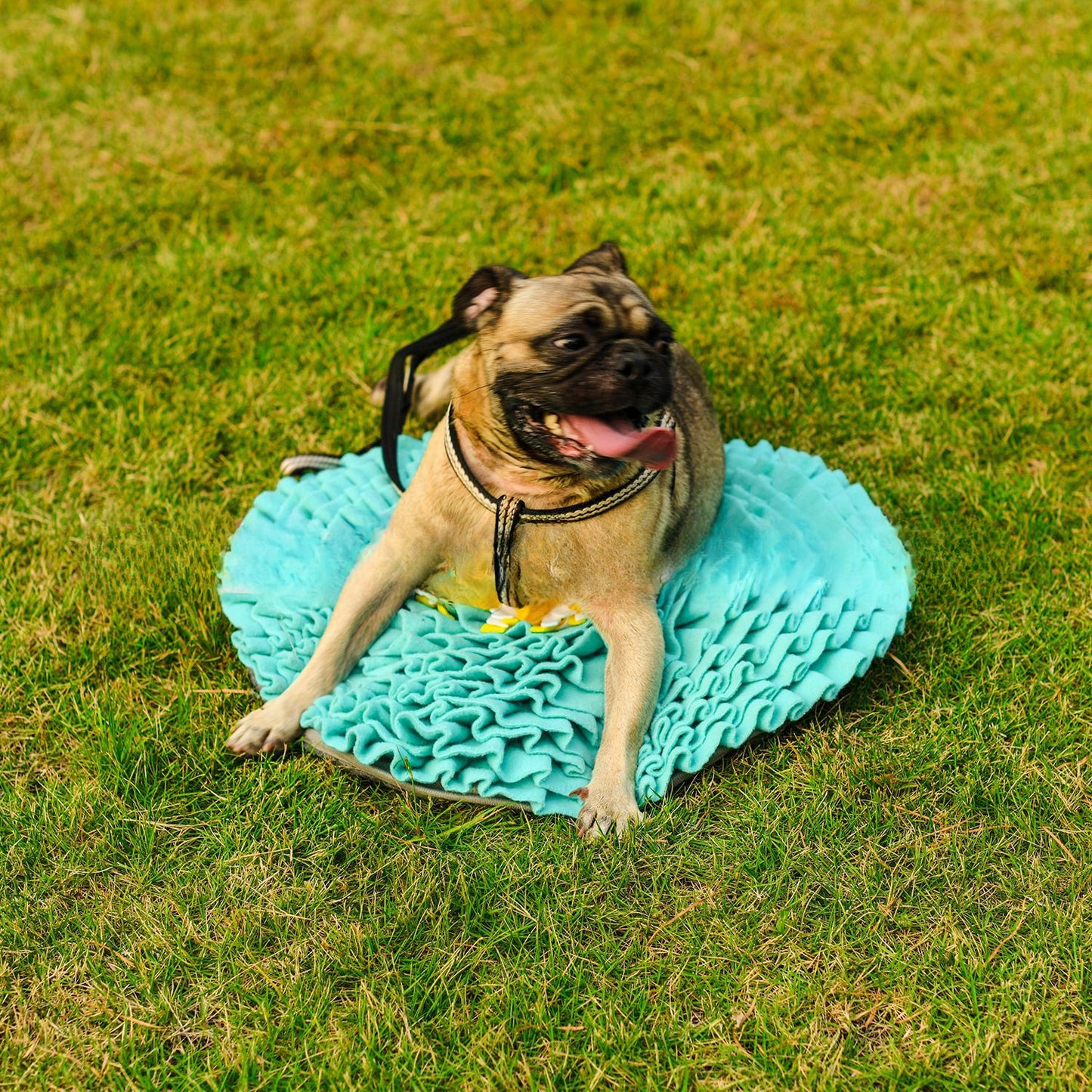 Snuffy - Lake Blue Round Pet Snuffle Mat