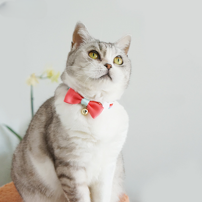 Mokka - Stripe Design Adjustable Collar