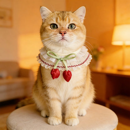 Mokka - Floral Lace Trim Pet Collar