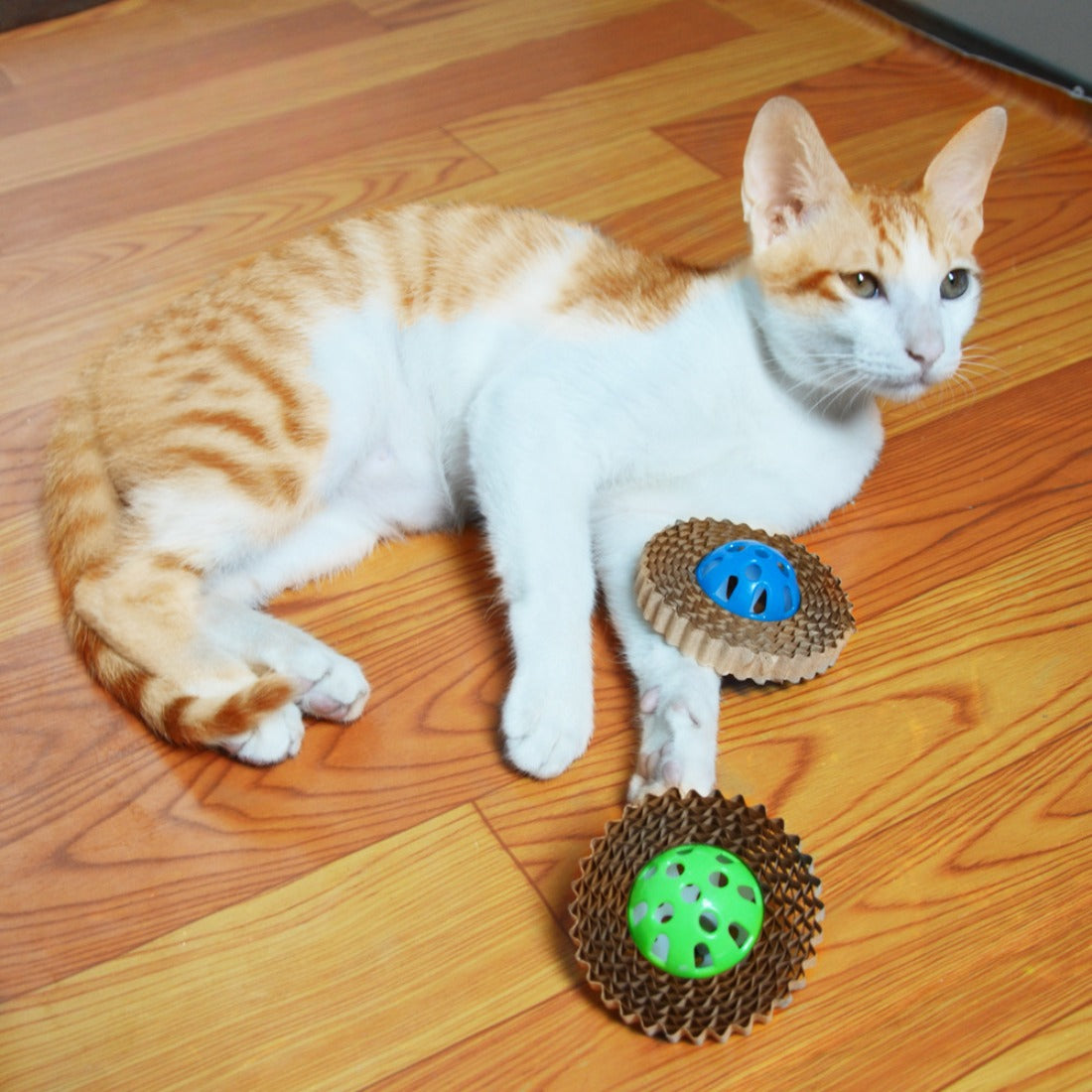 Moo - Bell Cardboard Cat Toy