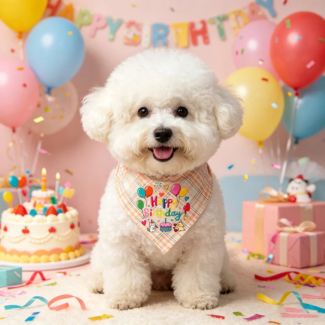 Mokka - Birthday Plaid Bandana Pet Neckwear
