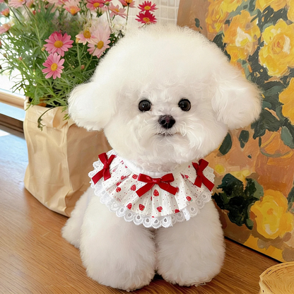 Mokka - Bow Lace Bib Pet Neckwear