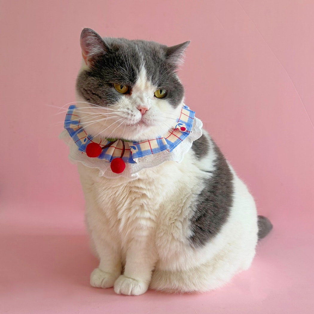 Mokka - Ruffle Trim Cherry Print Pet Bib and Collar