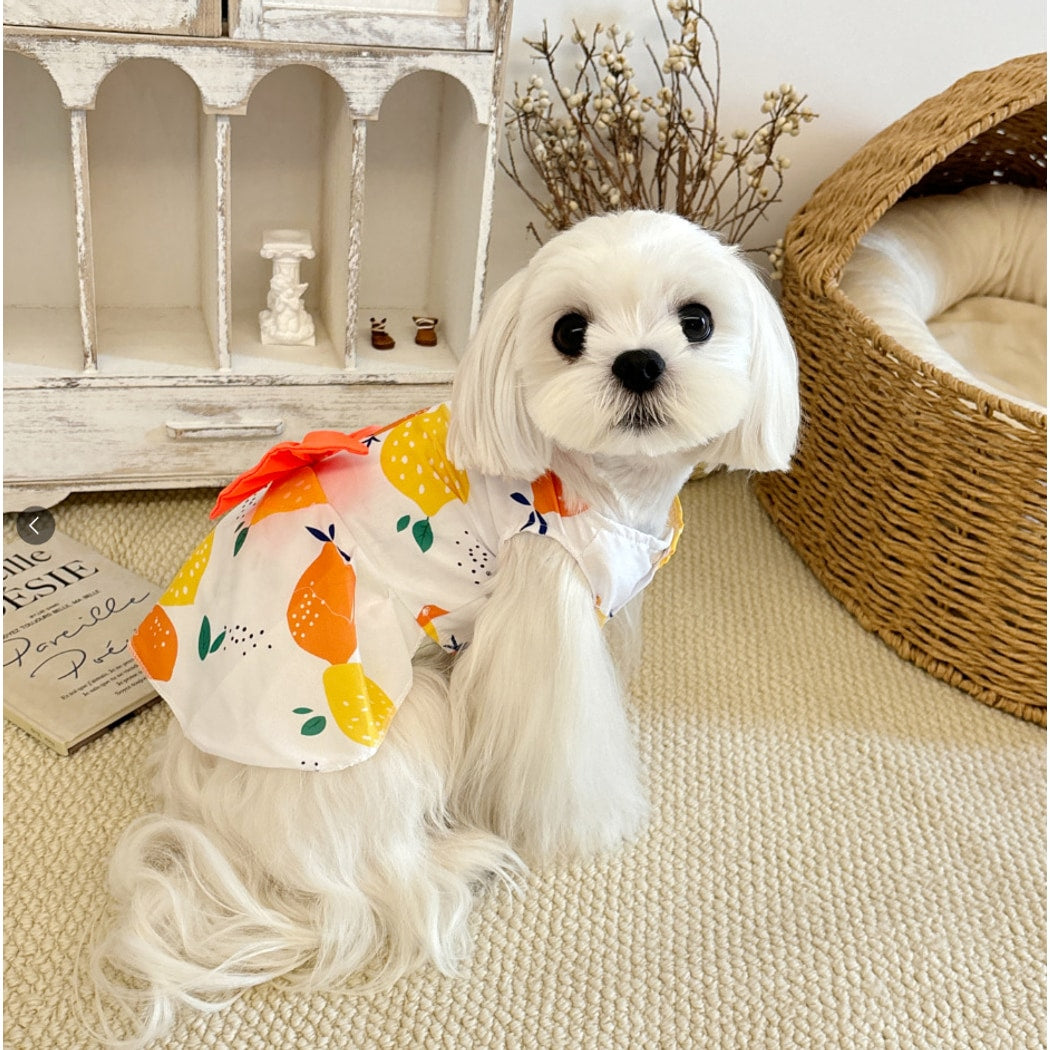 Ozzie - Floral Bow Dress for Dogs and Cats Dress