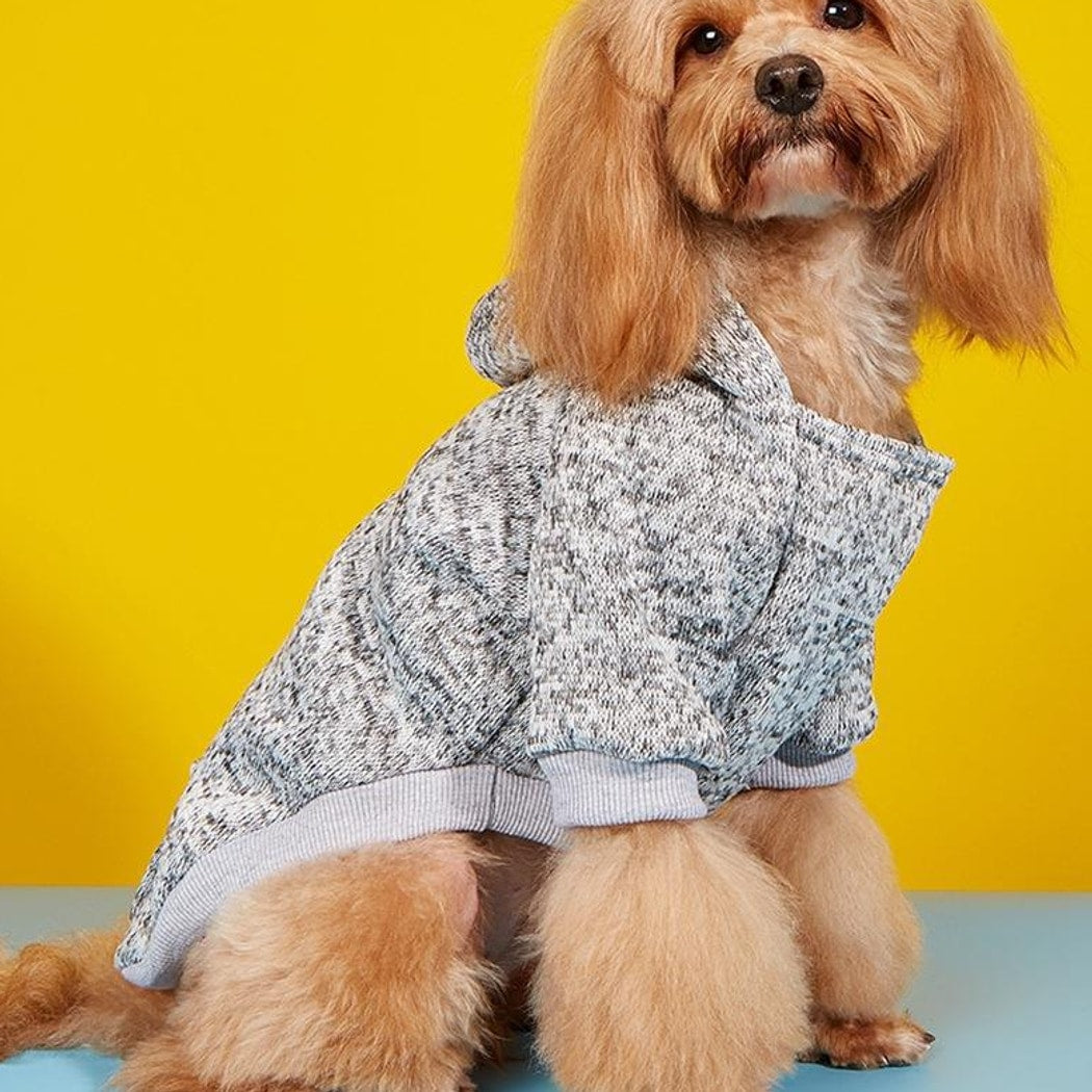 Ozzie - Pocket Detail Marled Dog Hooded Sweatshirt