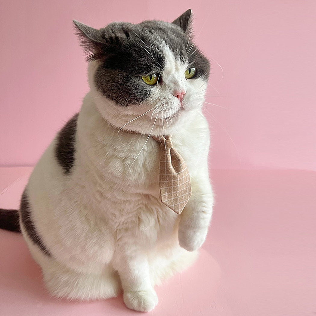 Mokka - Plaid Tie Accent Adjustable Cat Collar