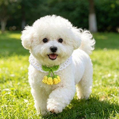 Mokka - Princess Style Flower decorated Pet Collar