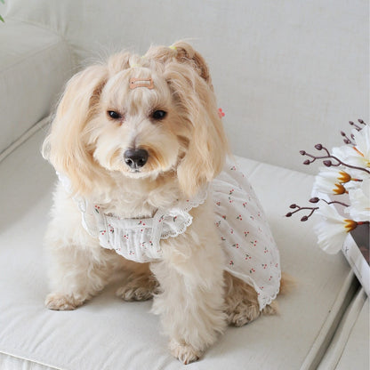 Ozzie - Cherry Print Short Sleeve Pet Dress