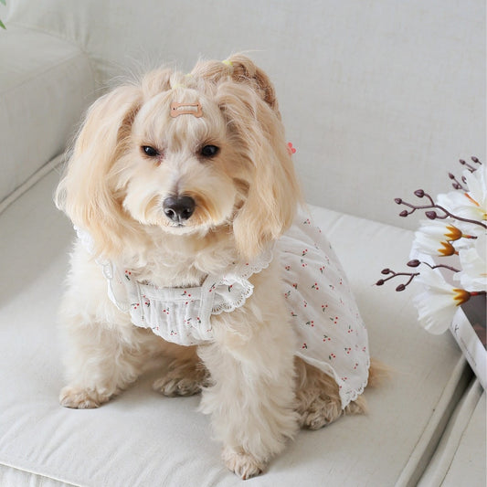Ozzie - Cherry Print Short Sleeve Pet Dress