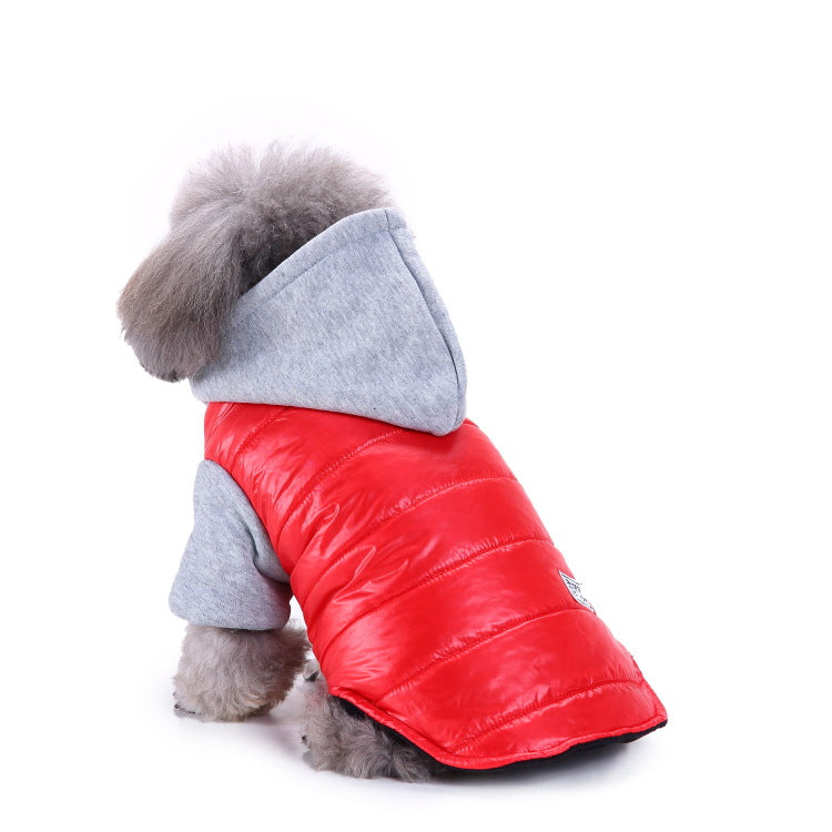 Ozzie - Pet Sport Wear for Cats & Small Dogs