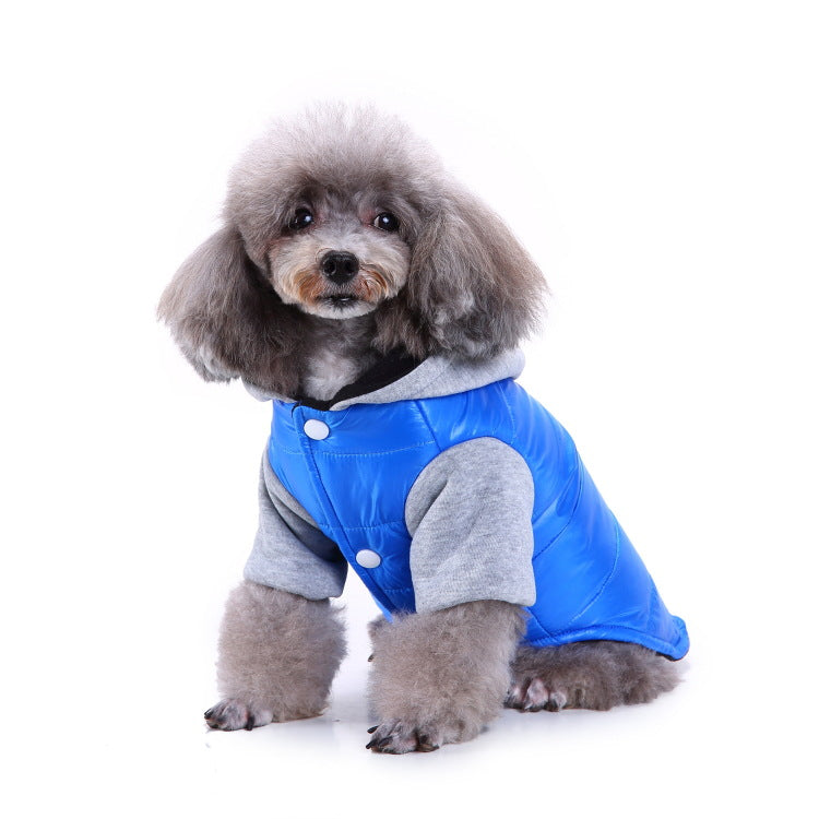 Ozzie - Pet Sport Wear for Cats & Small Dogs